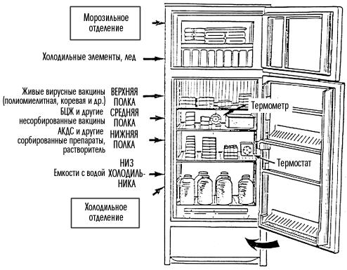 Как хранить вакцины. Схема загрузки холодильника для вакцин. Холодильник для вакцины в прививочном каби. Размещение вакцин в холодильнике. Режим хранения вакцин.
